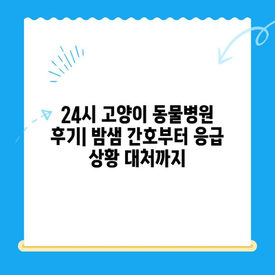 24시 고양이 동물병원 이용 후기| 밤샘 간호, 응급 상황 대처, 내돈내산 솔직 후기 | 고양이 건강, 응급 진료, 야간 진료, 동물병원 추천