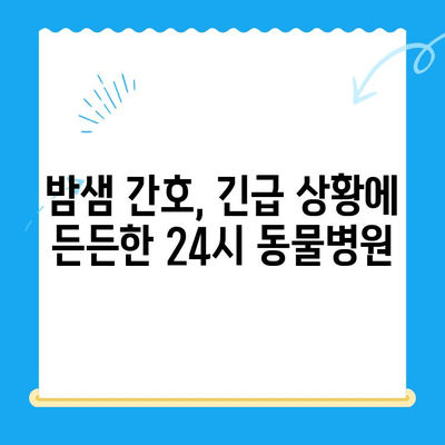 24시 고양이 동물병원 이용 후기| 밤샘 간호, 응급 상황 대처, 내돈내산 솔직 후기 | 고양이 건강, 응급 진료, 야간 진료, 동물병원 추천