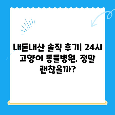 24시 고양이 동물병원 이용 후기| 밤샘 간호, 응급 상황 대처, 내돈내산 솔직 후기 | 고양이 건강, 응급 진료, 야간 진료, 동물병원 추천