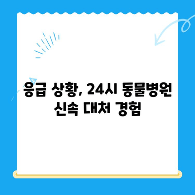 24시 고양이 동물병원 이용 후기| 밤샘 간호, 응급 상황 대처, 내돈내산 솔직 후기 | 고양이 건강, 응급 진료, 야간 진료, 동물병원 추천