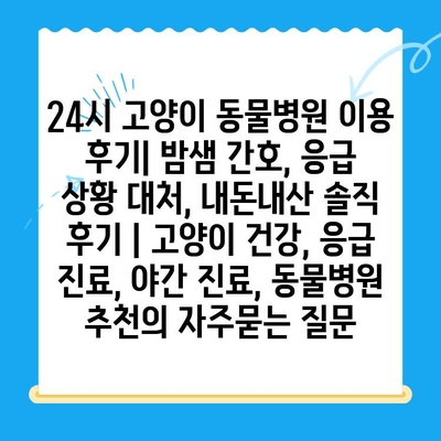 24시 고양이 동물병원 이용 후기| 밤샘 간호, 응급 상황 대처, 내돈내산 솔직 후기 | 고양이 건강, 응급 진료, 야간 진료, 동물병원 추천