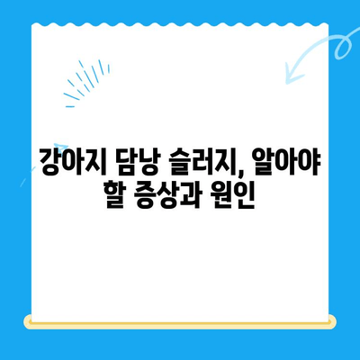 강아지 담낭 슬러지, 초음파 검사부터 24시 동물병원 치료까지 | 담낭 슬러지, 강아지 질병, 동물병원, 초음파 검사, 응급 치료