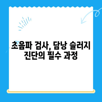 강아지 담낭 슬러지, 초음파 검사부터 24시 동물병원 치료까지 | 담낭 슬러지, 강아지 질병, 동물병원, 초음파 검사, 응급 치료