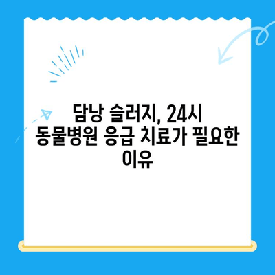 강아지 담낭 슬러지, 초음파 검사부터 24시 동물병원 치료까지 | 담낭 슬러지, 강아지 질병, 동물병원, 초음파 검사, 응급 치료