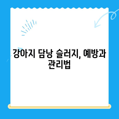 강아지 담낭 슬러지, 초음파 검사부터 24시 동물병원 치료까지 | 담낭 슬러지, 강아지 질병, 동물병원, 초음파 검사, 응급 치료