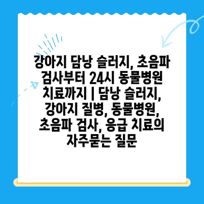 강아지 담낭 슬러지, 초음파 검사부터 24시 동물병원 치료까지 | 담낭 슬러지, 강아지 질병, 동물병원, 초음파 검사, 응급 치료