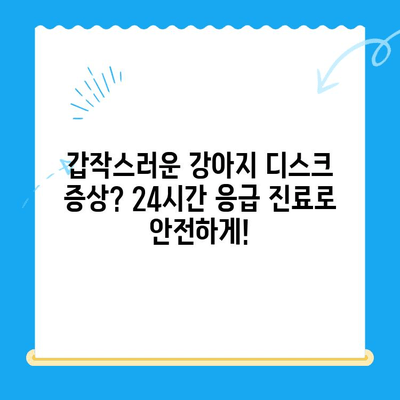대구 24시 강아지 디스크 전문 동물병원| 척추 건강 지키는 24시간 응급 진료 | 강아지 디스크, 척추 질환, 응급 진료, 대구 동물병원