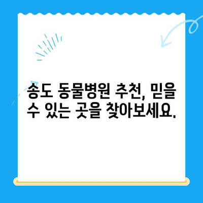 송도 동물병원 강아지 건강검진 비용| 견종별, 검사 항목별 가격 비교 가이드 | 강아지 건강검진, 송도 동물병원 추천