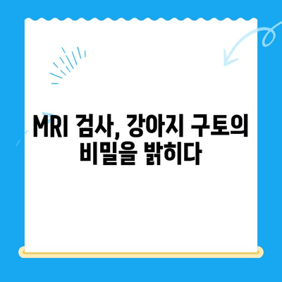 강아지 구토 원인과 MRI 치료| 24시 동물병원 후기 및 치료비 정보 | 강아지 구토, MRI 검사, 동물병원 추천, 치료비