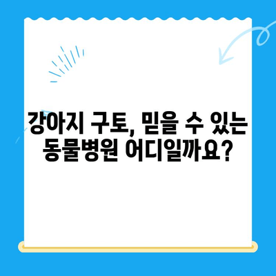 강아지 구토 원인과 MRI 치료| 24시 동물병원 후기 및 치료비 정보 | 강아지 구토, MRI 검사, 동물병원 추천, 치료비