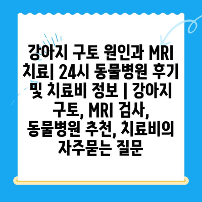 강아지 구토 원인과 MRI 치료| 24시 동물병원 후기 및 치료비 정보 | 강아지 구토, MRI 검사, 동물병원 추천, 치료비