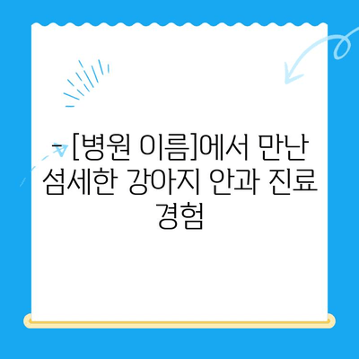 처인구 동물병원 강아지 안과 검진 후기| [병원 이름]에서 받은 진료 경험 | 처인구, 안과 검진, 강아지, 동물병원, 후기