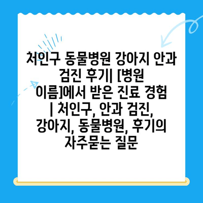 처인구 동물병원 강아지 안과 검진 후기| [병원 이름]에서 받은 진료 경험 | 처인구, 안과 검진, 강아지, 동물병원, 후기