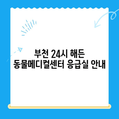 부천 24시 동물병원 해든 동물메디컬센터 응급실| 회복실 안내 | 응급처치, 입원, 케어