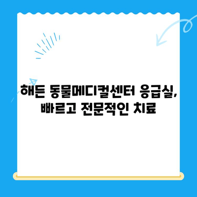 부천 24시 동물병원 해든 동물메디컬센터 응급실| 회복실 안내 | 응급처치, 입원, 케어