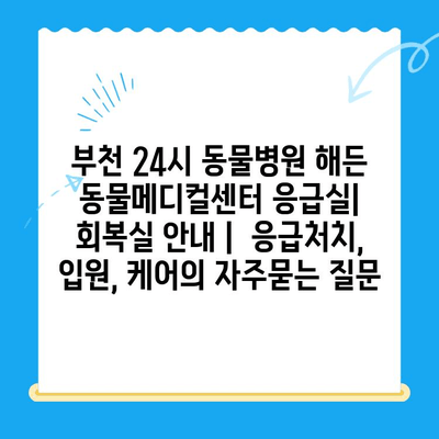부천 24시 동물병원 해든 동물메디컬센터 응급실| 회복실 안내 | 응급처치, 입원, 케어