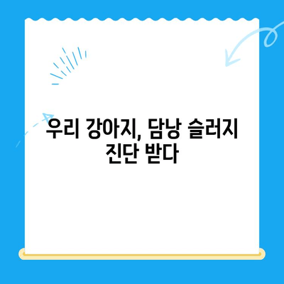 강아지 초음파 검사 후기| 담낭 슬러지 진단과 치료 과정 | 반려견 건강, 담낭 질환, 초음파 검사 경험