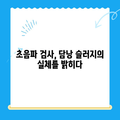 강아지 초음파 검사 후기| 담낭 슬러지 진단과 치료 과정 | 반려견 건강, 담낭 질환, 초음파 검사 경험