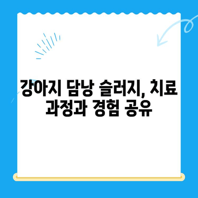 강아지 초음파 검사 후기| 담낭 슬러지 진단과 치료 과정 | 반려견 건강, 담낭 질환, 초음파 검사 경험