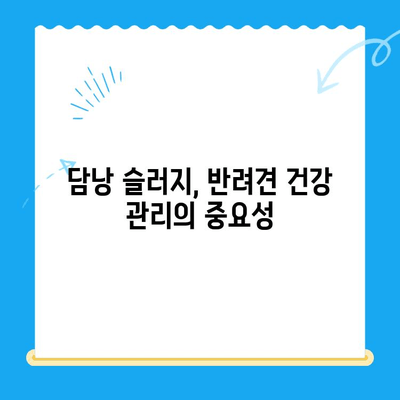 강아지 초음파 검사 후기| 담낭 슬러지 진단과 치료 과정 | 반려견 건강, 담낭 질환, 초음파 검사 경험