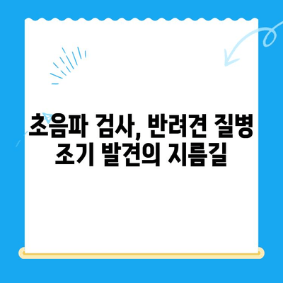 강아지 초음파 검사 후기| 담낭 슬러지 진단과 치료 과정 | 반려견 건강, 담낭 질환, 초음파 검사 경험