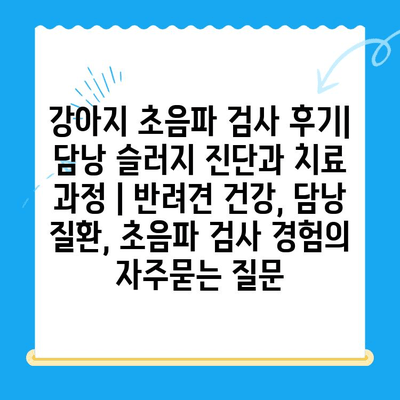 강아지 초음파 검사 후기| 담낭 슬러지 진단과 치료 과정 | 반려견 건강, 담낭 질환, 초음파 검사 경험