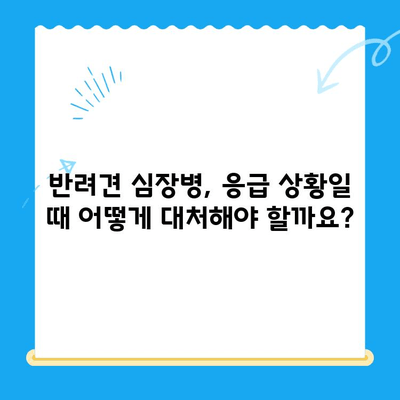 24시간 동물병원, 반려견 심장 질환 응급 진료 안내 | 심장병 증상, 진료 과정, 비용, 주의 사항