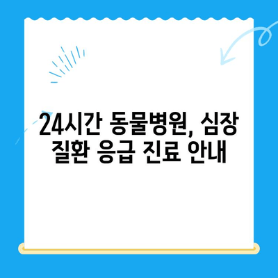 24시간 동물병원, 반려견 심장 질환 응급 진료 안내 | 심장병 증상, 진료 과정, 비용, 주의 사항