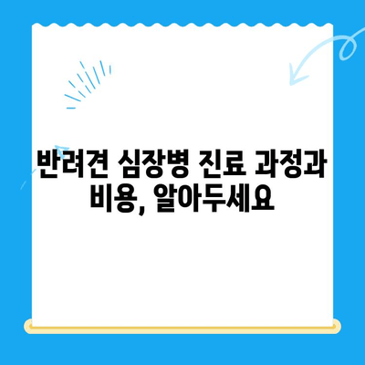 24시간 동물병원, 반려견 심장 질환 응급 진료 안내 | 심장병 증상, 진료 과정, 비용, 주의 사항
