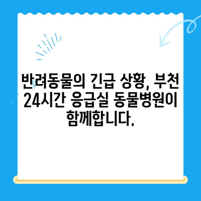 부천 24시간 응급실 동물병원| 긴급 상황에 도움을 주는 곳 | 부천, 응급실, 동물병원, 야간진료, 긴급, 24시간