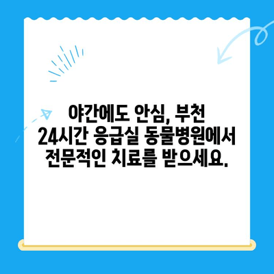 부천 24시간 응급실 동물병원| 긴급 상황에 도움을 주는 곳 | 부천, 응급실, 동물병원, 야간진료, 긴급, 24시간