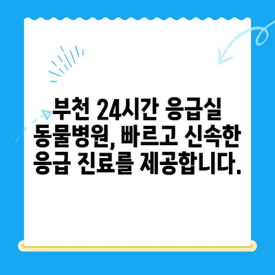 부천 24시간 응급실 동물병원| 긴급 상황에 도움을 주는 곳 | 부천, 응급실, 동물병원, 야간진료, 긴급, 24시간