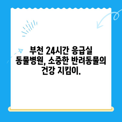 부천 24시간 응급실 동물병원| 긴급 상황에 도움을 주는 곳 | 부천, 응급실, 동물병원, 야간진료, 긴급, 24시간