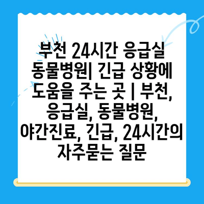 부천 24시간 응급실 동물병원| 긴급 상황에 도움을 주는 곳 | 부천, 응급실, 동물병원, 야간진료, 긴급, 24시간