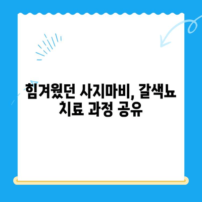 사지마비와 갈색뇨 치료 후기| 원주 스카이 병원 경험 공유 | 사지마비, 갈색뇨, 치료 후기, 원주 스카이 병원