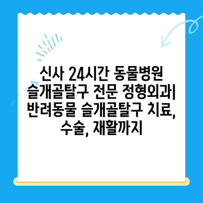 신사 24시간 동물병원| 슬개골탈구 전문 정형외과 | 반려동물 슬개골탈구 치료, 수술, 재활까지