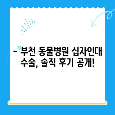 부천 동물병원 십자인대 수술 후기| 솔직한 경험 공유 | 반려동물, 수술 후 관리, 재활