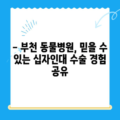 부천 동물병원 십자인대 수술 후기| 솔직한 경험 공유 | 반려동물, 수술 후 관리, 재활