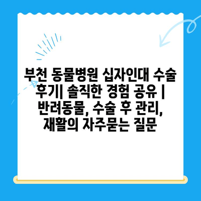 부천 동물병원 십자인대 수술 후기| 솔직한 경험 공유 | 반려동물, 수술 후 관리, 재활