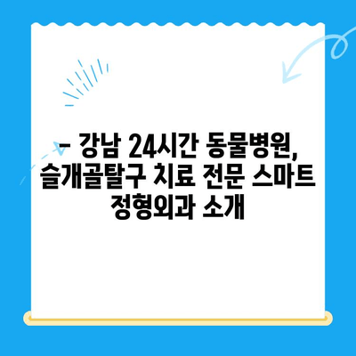 신사 24시간 동물병원| 슬개골탈구 전문 스마트 정형외과 후기 | 슬개골탈구 치료, 수술 후기, 강남 동물병원, 24시간 진료