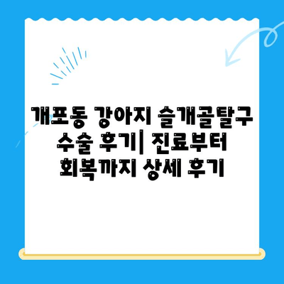 개포동 강아지 슬개골탈구 수술 후기| 진료부터 회복까지 상세 후기 | 슬개골탈구, 수술, 재활, 강아지, 개포동