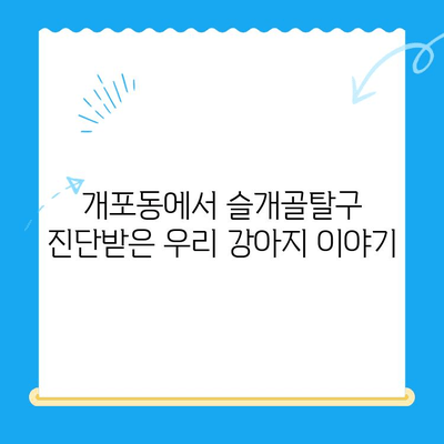 개포동 강아지 슬개골탈구 수술 후기| 진료부터 회복까지 상세 후기 | 슬개골탈구, 수술, 재활, 강아지, 개포동