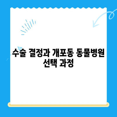 개포동 강아지 슬개골탈구 수술 후기| 진료부터 회복까지 상세 후기 | 슬개골탈구, 수술, 재활, 강아지, 개포동