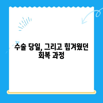 개포동 강아지 슬개골탈구 수술 후기| 진료부터 회복까지 상세 후기 | 슬개골탈구, 수술, 재활, 강아지, 개포동