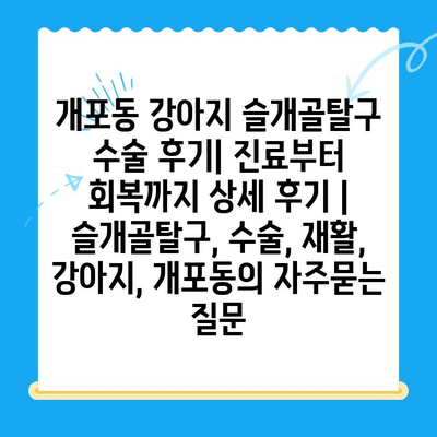 개포동 강아지 슬개골탈구 수술 후기| 진료부터 회복까지 상세 후기 | 슬개골탈구, 수술, 재활, 강아지, 개포동