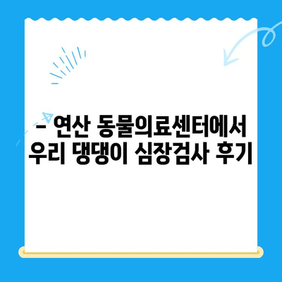 부산 연산 동물의료센터 반려견 심장검사 후기| 우리 댕댕이 건강 이야기 | 반려견 건강, 심장 질환, 동물병원 후기