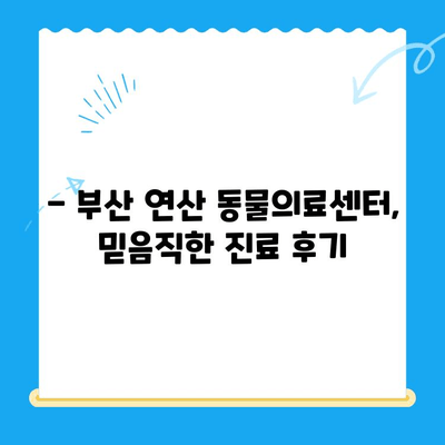 부산 연산 동물의료센터 반려견 심장검사 후기| 우리 댕댕이 건강 이야기 | 반려견 건강, 심장 질환, 동물병원 후기