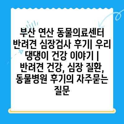 부산 연산 동물의료센터 반려견 심장검사 후기| 우리 댕댕이 건강 이야기 | 반려견 건강, 심장 질환, 동물병원 후기