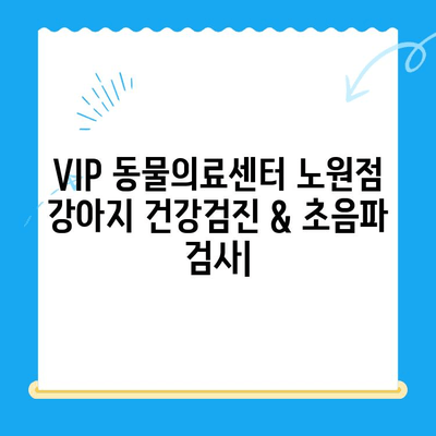 VIP 동물의료센터 노원점 강아지 건강검진 & 초음파 검사| 믿을 수 있는 전문 진료 | 강아지 건강, 건강검진, 초음파, VIP 동물의료센터, 노원