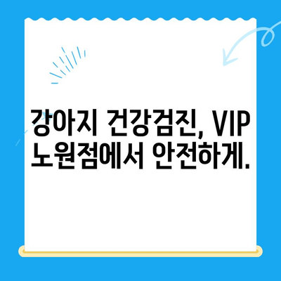 VIP 동물의료센터 노원점 강아지 건강검진 & 초음파 검사| 믿을 수 있는 전문 진료 | 강아지 건강, 건강검진, 초음파, VIP 동물의료센터, 노원